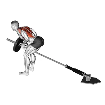 Animated demonstration: lever bent-over row with v-bar — target upper back