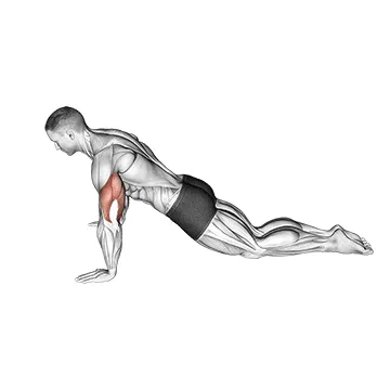 Animated demonstration: kneeling push-up (male) — target pectorals