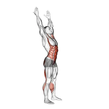Animated demonstration: basic toe touch (male) — target glutes