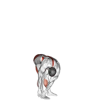 Animated demonstration: side-to-side toe touch (male) — target abs