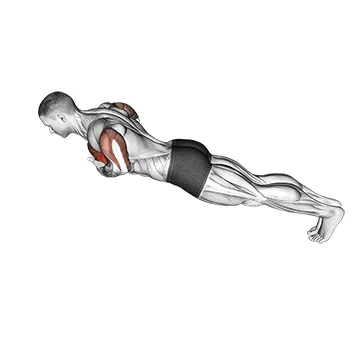 Animated demonstration: chest tap push-up (male) — target pectorals