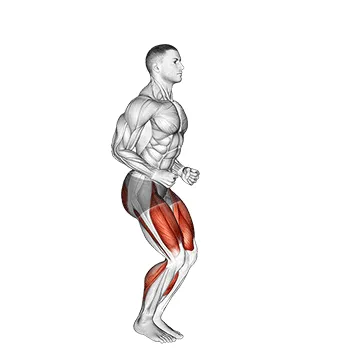 Animated demonstration: half knee bends (male) — target cardiovascular system