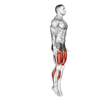 Animated demonstration: semi squat jump (male) — target cardiovascular system