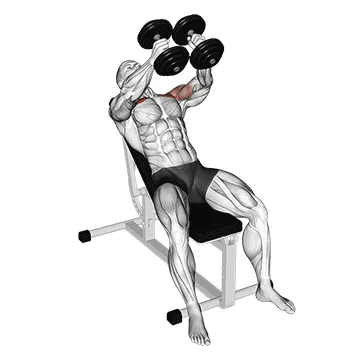Animated demonstration: hyght dumbbell fly — target pectorals