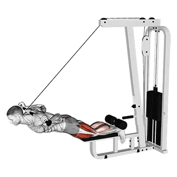 Animated demonstration: cable assisted inverse leg curl — target hamstrings