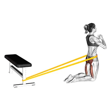 Animated demonstration: resistance band hip thrusts on knees (female) — target glutes