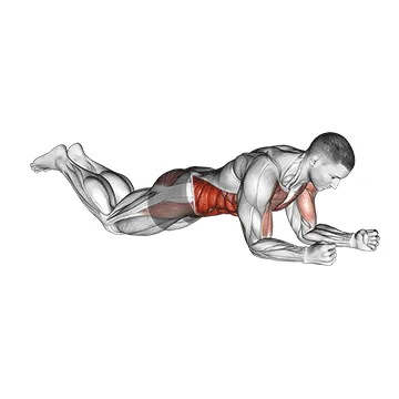 Animated demonstration: kneeling plank tap shoulder (male) — target abs