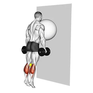 Animated demonstration: exercise ball on the wall calf raise (tennis ball between knees) — target calves