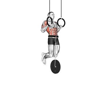Animated demonstration: weighted muscle up — target lats