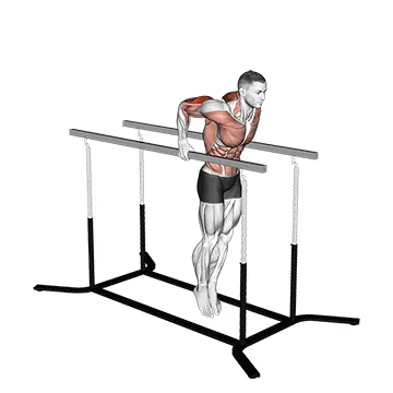 Animated demonstration: elbow dips — target triceps