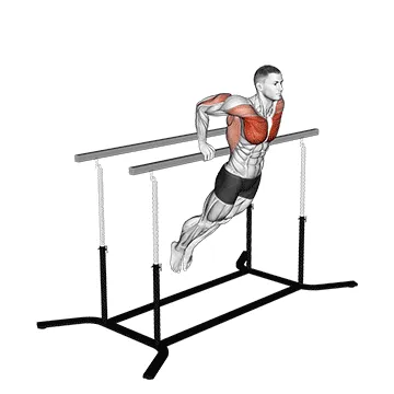 Animated demonstration: korean dips — target pectorals