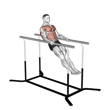 Animated demonstration: impossible dips — target triceps
