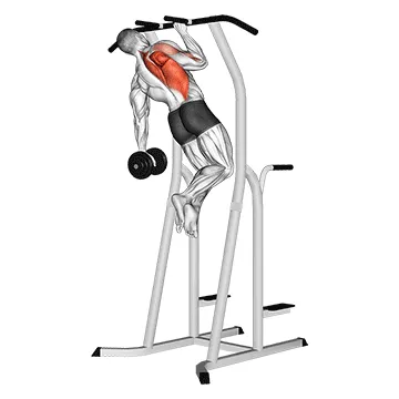 Animated demonstration: weighted one hand pull up — target lats