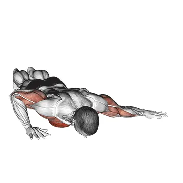 Animated demonstration: archer push up — target pectorals
