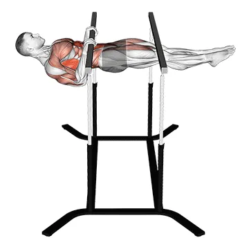 Animated demonstration: front lever reps — target upper back