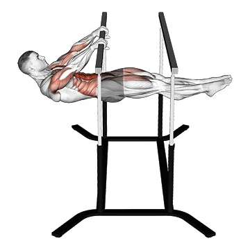 Animated demonstration: front lever — target abs