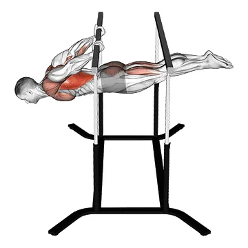 Animated demonstration: back lever — target upper back
