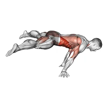 Animated demonstration: straddle planche — target abs