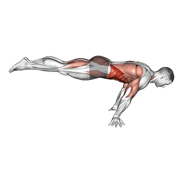 Animated demonstration: full planche — target abs