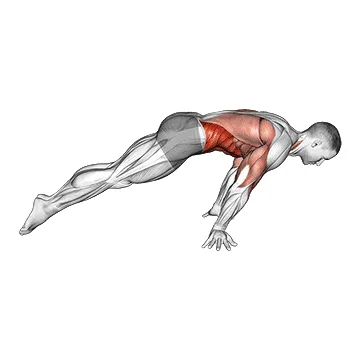 Animated demonstration: lean planche — target abs