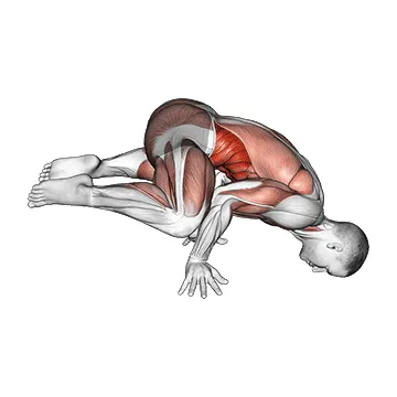 Animated demonstration: frog planche — target abs