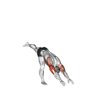Animated demonstration: handstand — target triceps
