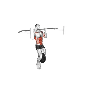 Animated demonstration: weighted muscle up (on bar) — target lats