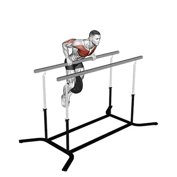 Animated demonstration: weighted straight bar dip — target pectorals