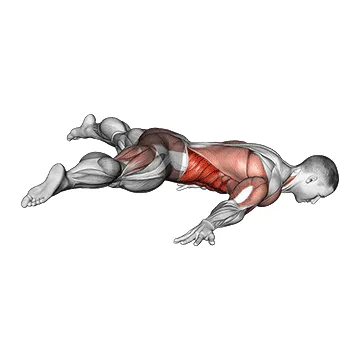 Animated demonstration: straddle maltese — target abs