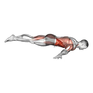 Animated demonstration: full maltese — target abs