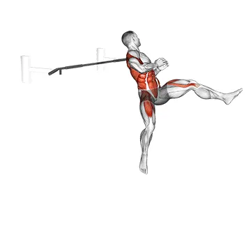 Animated demonstration: swing 360 — target cardiovascular system