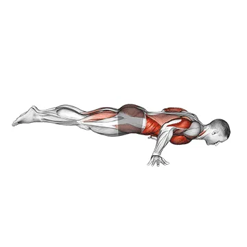 Animated demonstration: full planche push-up — target pectorals