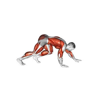 Animated demonstration: bear crawl — target cardiovascular system