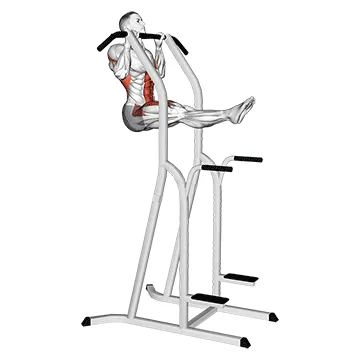 Animated demonstration: l-pull-up — target lats