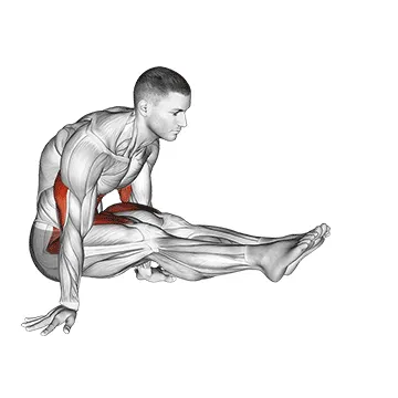 Animated demonstration: l-sit on floor — target abs
