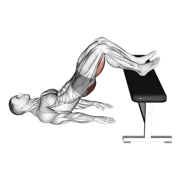 Animated demonstration: glute bridge two legs on bench (male) — target glutes