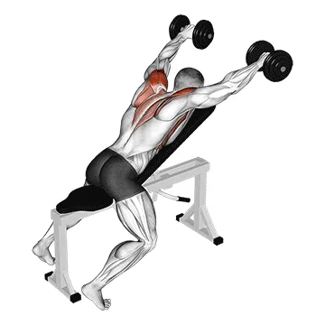 Animated demonstration: dumbbell incline y-raise — target upper back