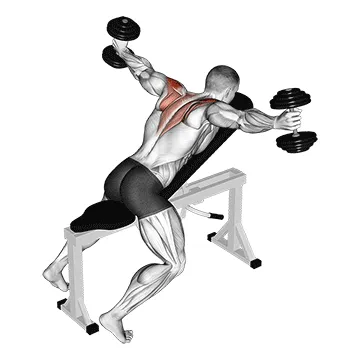 Animated demonstration: dumbbell incline t-raise — target delts
