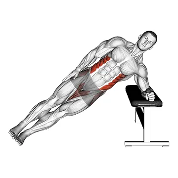 Animated demonstration: bodyweight incline side plank — target abs