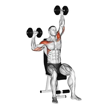 Animated demonstration: dumbbell seated alternate shoulder — target delts