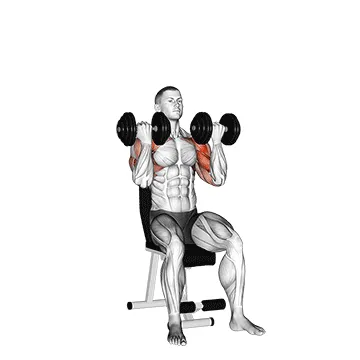 Animated demonstration: dumbbell seated biceps curl to shoulder press — target biceps