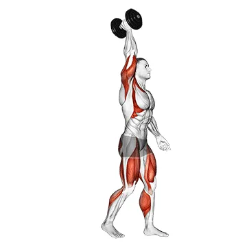 Animated demonstration: dumbbell single arm overhead carry — target delts
