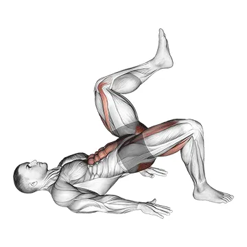 Animated demonstration: glute bridge march — target glutes