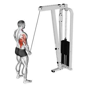 Animated demonstration: cable one arm pulldown — target lats