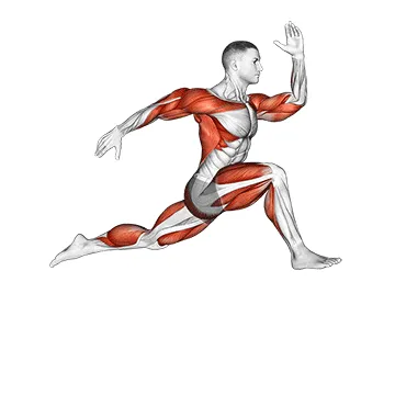 Animated demonstration: wheel run — target cardiovascular system