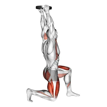 Animated demonstration: weighted kneeling step with swing — target delts