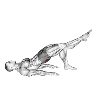 Animated demonstration: single leg bridge with outstretched leg — target glutes