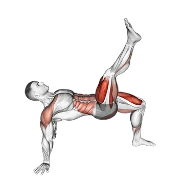 Animated demonstration: reverse plank with leg lift — target abs