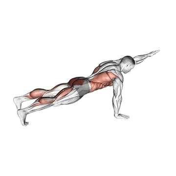 Animated demonstration: power point plank — target abs