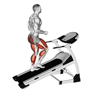 Animated demonstration: walking on incline treadmill — target cardiovascular system